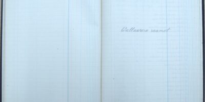 ´Rae vallavalitsuse kinnis- ja vallasvara raamat 1926.a.