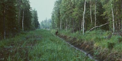 Oskar Raudmets slaidikarp 03