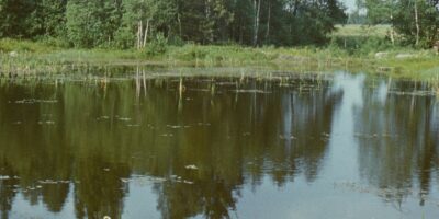 Loodusvaated, allikad