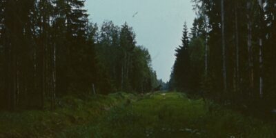 Loodusvaated, allikad