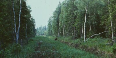 Oskar Raudmets slaidikarp 03