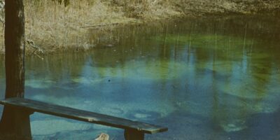 Loodusvaated, allikad