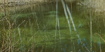 Loodusvaated, allikad