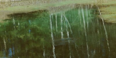 Loodusvaated, allikad