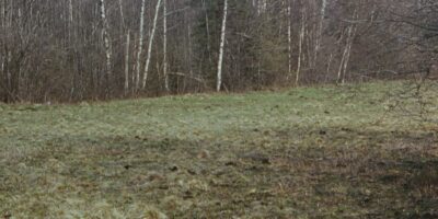 Loodusvaated, allikad