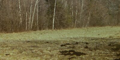 Loodusvaated, allikad