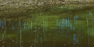 Loodusvaated, allikad