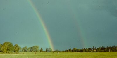 Oskar Raudmetsa diapositiivid: karp 03