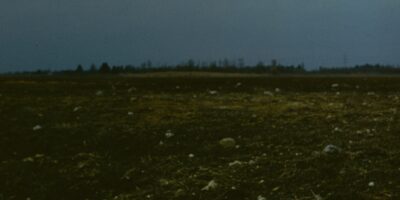 Arheoloogilised kaevamised Proosa kivikalmistul ?