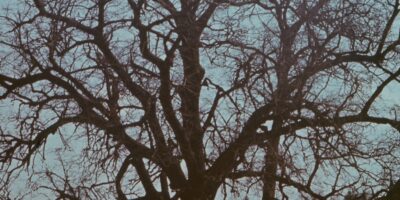 Tallinna koduloolaste ekskursioon ?