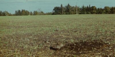 Oskar Raudmets slaidikarp 06: Arheoloogilised muisitsed ja leiud