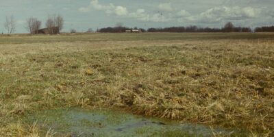 Oskar Raudmets slaidikarp 06: Arheoloogilised muisitsed ja leiud