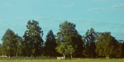 Oskar Raudmets slaidikarp 06: Arheoloogilised muisitsed ja leiud