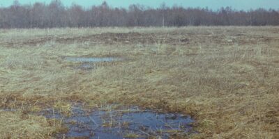 Oskar Raudmets slaidikarp 06: Arheoloogilised muisitsed ja leiud