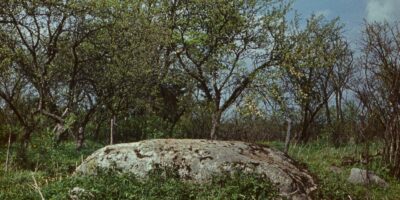 Oskar Raudmets slaidikarp 06: Arheoloogilised muisitsed ja leiud