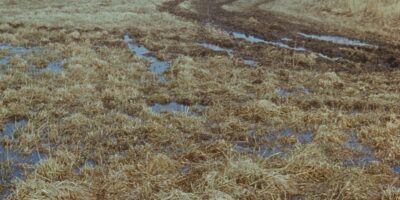 Oskar Raudmets slaidikarp 06: Arheoloogilised muisitsed ja leiud