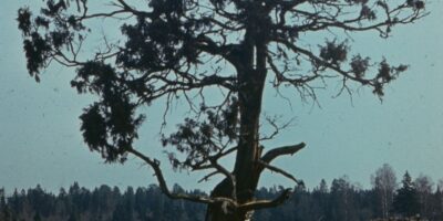 Oskar Raudmets slaidikarp 10: 1977, Tuhala, Jägala, Jõelähtme