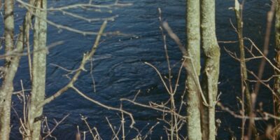 Oskar Raudmets slaidikarp 10: 1977, Tuhala, Jägala, Jõelähtme