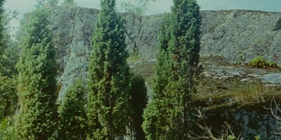 Oskar Raudmets slaidikarp 10: 1977, Tuhala, Jägala, Jõelähtme